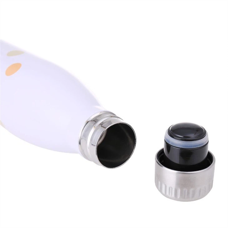 Vacuum Insulated Bottle